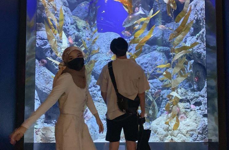 Kemesraan Putri Delina dan Jeffry Reksa di Singapura (Instagram/@jeffryreksaa)