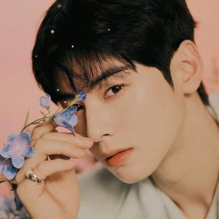 Fakta Cha Eun Woo ASTRO(Instagram/@officialastro/@eunwo.o_c)