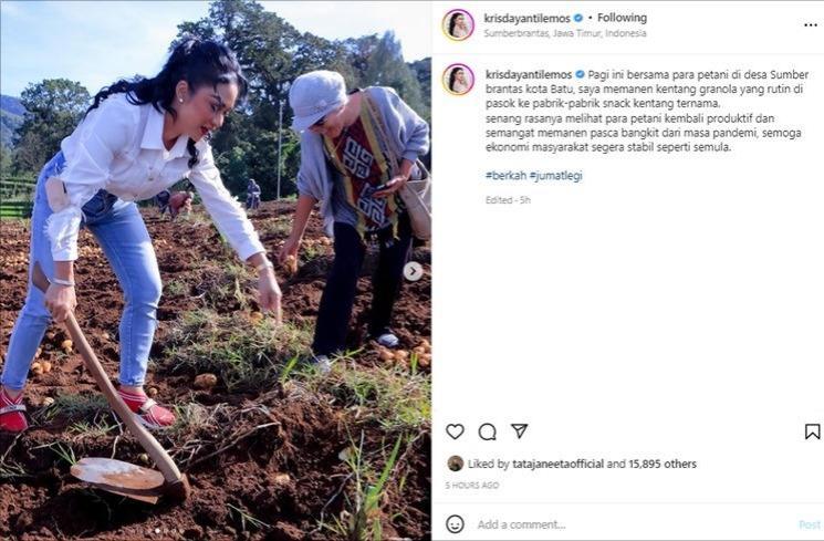 Krisdayanti blusukan panen kentang. (Instagram/@krisdayantilemos)