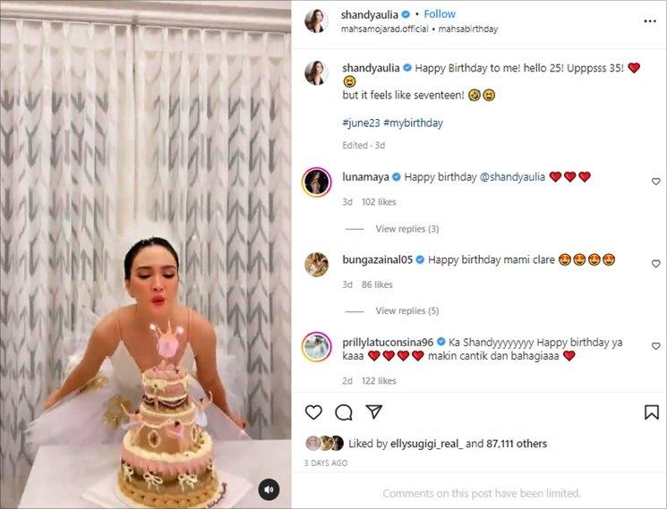Pesta ultah Shandy Aulia. (Instagram/@shandyaulia)
