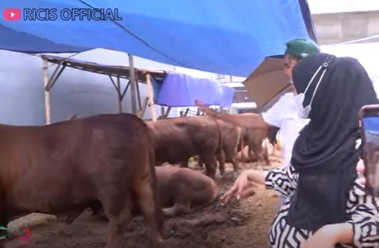 Potret Ria Ricis Hunting Hewan Kurban. (YouTube/Ricis Official)