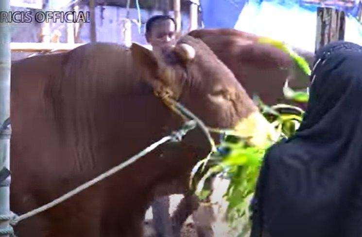 Potret Ria Ricis Hunting Hewan Kurban. (YouTube/Ricis Official)