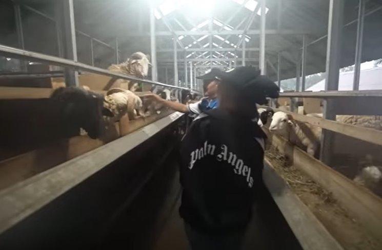 Potret Fuji beli sapi kurban. (YouTube/Fuji an)