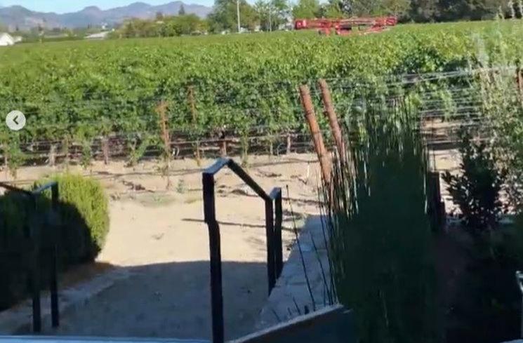 Potret Nikita Willy liburan di Napa Valley California. (Instagram/@nikitawillyofficial94)