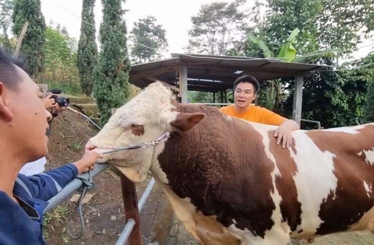 Momen Baim Wong Cari Sapi Kurban (YouTube/Baim Paula)