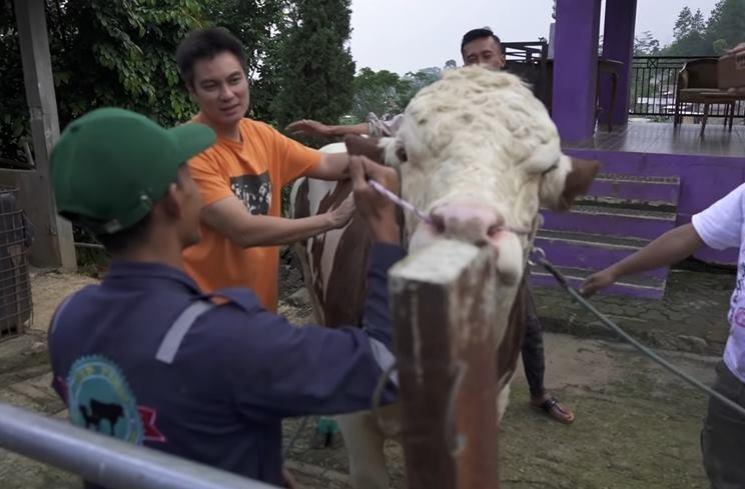 Momen Baim Wong Cari Sapi Kurban (YouTube/Baim Paula)