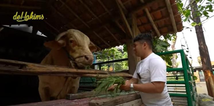 Momen Irfan Hakim Kurban Sapi Terbesar di Indonesia. (YouTube/deHakims)