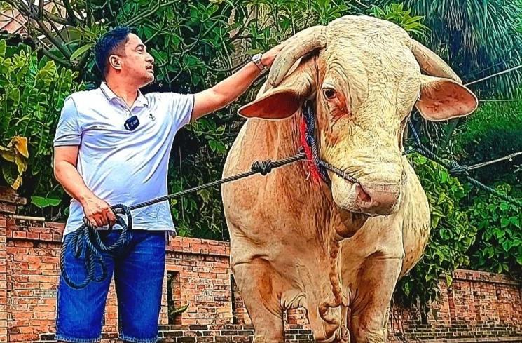 Potret Artis Bareng Hewan Kurban (instagram/@irfanhakim75)