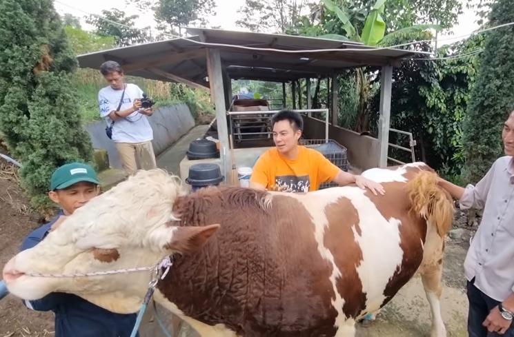 Potret Artis Bareng Hewan Kurban (YouTube Baim Paula)