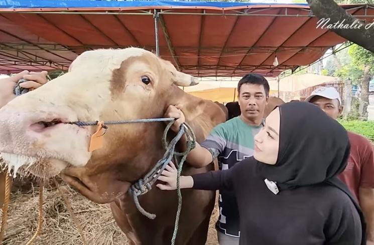 Potret Artis Bareng Hewan Kurban (YouTube Nathalie Holscher)