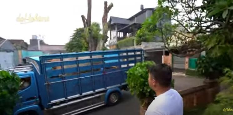 Momen Irfan Hakim Kurban Sapi Terbesar di Indonesia. (YouTube/deHakims)
