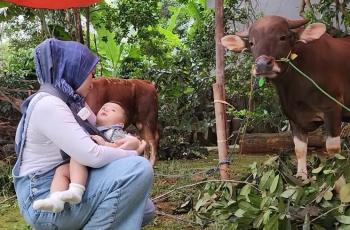 11 Potret Nathalie Holscher Rayakan Idul Adha Tanpa Sule, Tetap Bersuka Cita