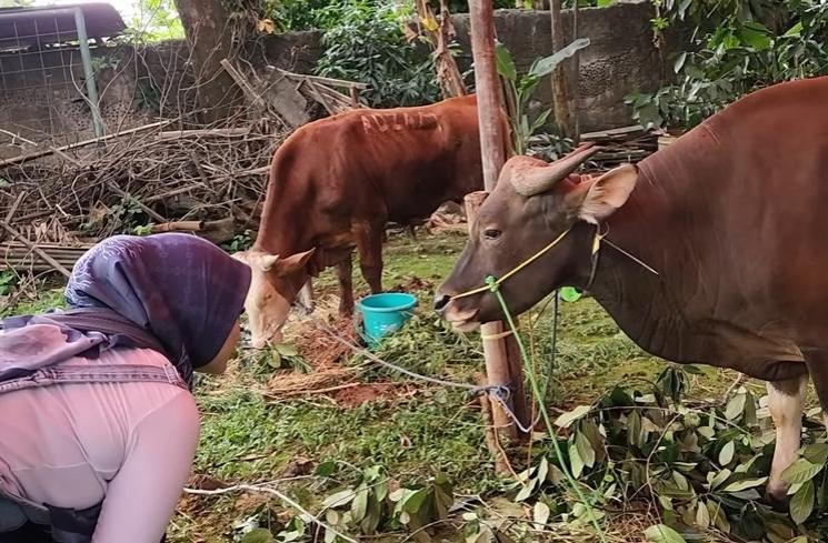 Potret Nathalie Holscher Rayakan Idul Adha (YouTube NATHALIE HOLSCHER)