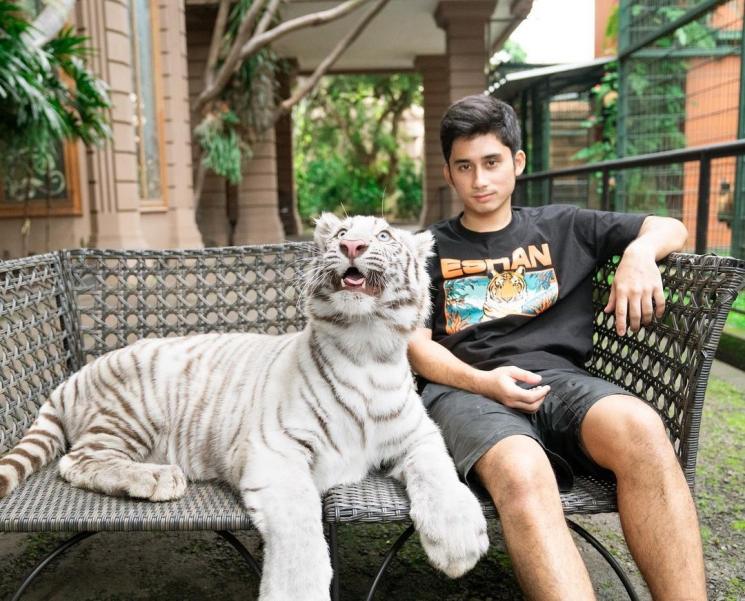 Artis Indonesia Berzodiak Cancer (Instagram/@alshadahmad)