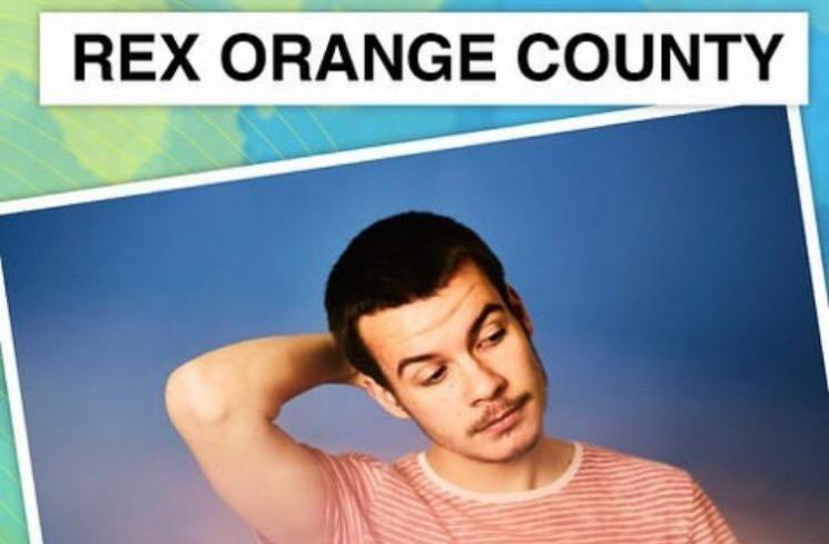 Rex Orange County [Instagram/@rexorangecounty]