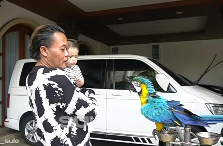Momen Adzam Main ke Rumah Sule(YouTube/Sule Family) 