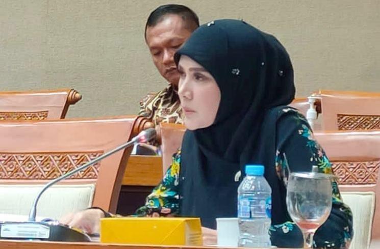 Artis Punya Banyak Haters (Instagram/@mulanjameela1)