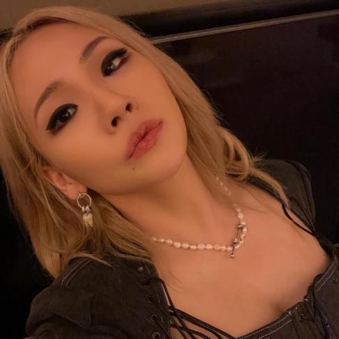 Idol Kpop Pelihara Hewan Tak Biasa. (Instagram/chaelincl)