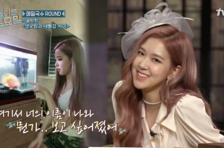 Idol Kpop Pelihara Hewan Tak Biasa. (soompi.com)