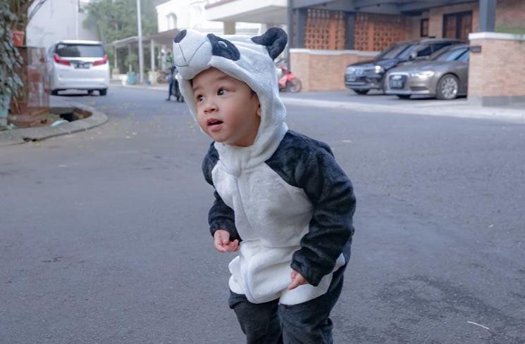 Potret Gemas Gala Sky Pakai Kostum Panda (instagram/@fuji_an)