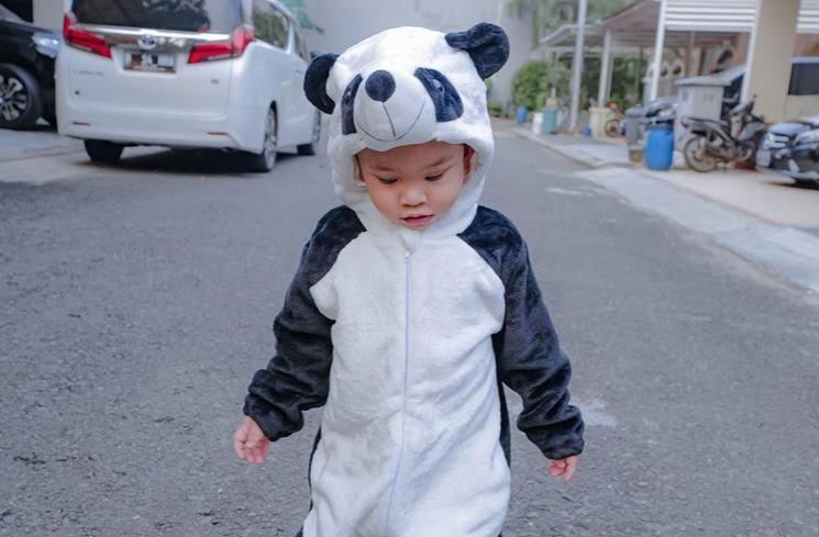 Potret Gemas Gala Sky Pakai Kostum Panda (instagram/@fuji_an)
