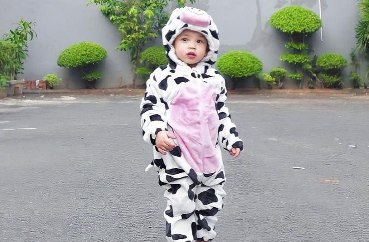Potret Gala Sky Cosplay Jadi Sapi (Instagram/@fuji_an)