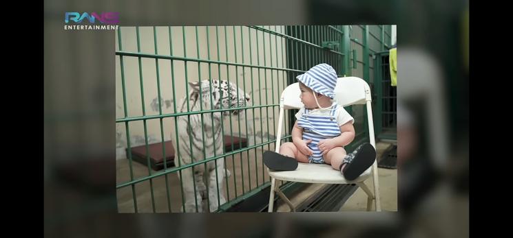 Momen Rayyanza Masuk Kandang Harimau (YouTube/ransentertainment)