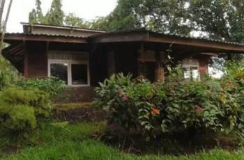 9 Potret Rumah Artis yang Dibiarkan Terbengkalai, Ada yang Bertebaran Bunga Melati