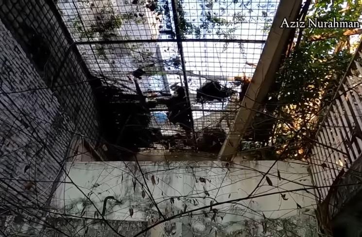 Potret Rumah Maissy (YouTube/Azis Nurahman)