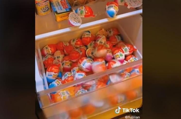 Isi kulkas Fuji (tiktok)