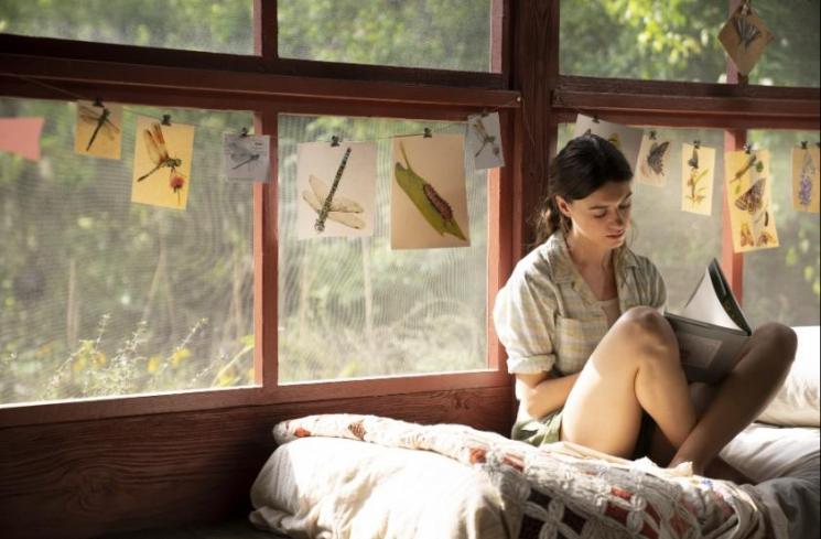 Sinopsis dan Fakta Where The Crawdads Sing. (IMDb)