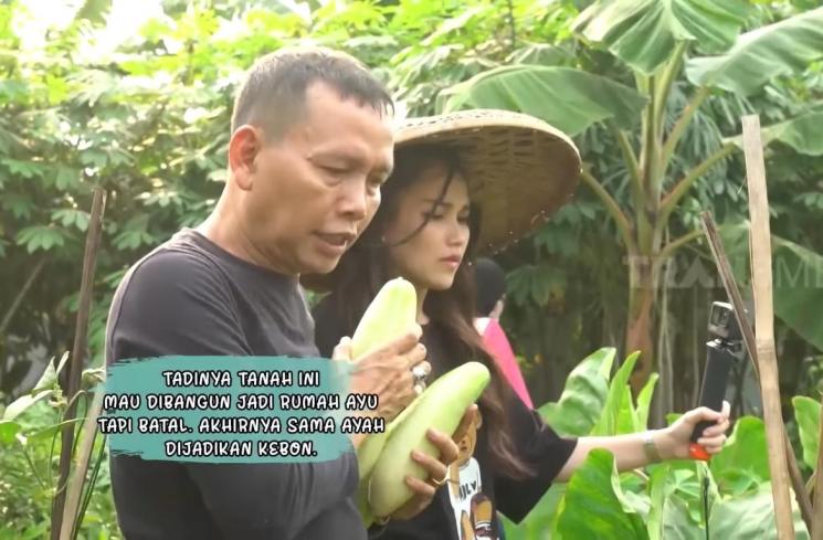 Momen Ayu Ting Ting dan Ayah Ojak berkebun (YouTube/TRANS7 OFFICIAL)