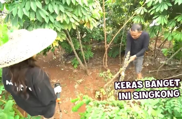 Momen Ayu Ting Ting dan Ayah Ojak berkebun (YouTube/TRANS7 OFFICIAL)