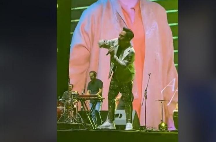 Potret Heboh King Nassar saat Manggung. (TikTok/ayamgeprekpasar)