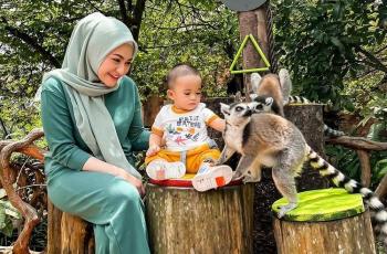10 Momen Nathalie Holscher Healing Bareng Karyawan, Naik Gajah sampai Main Bom-Bom Car