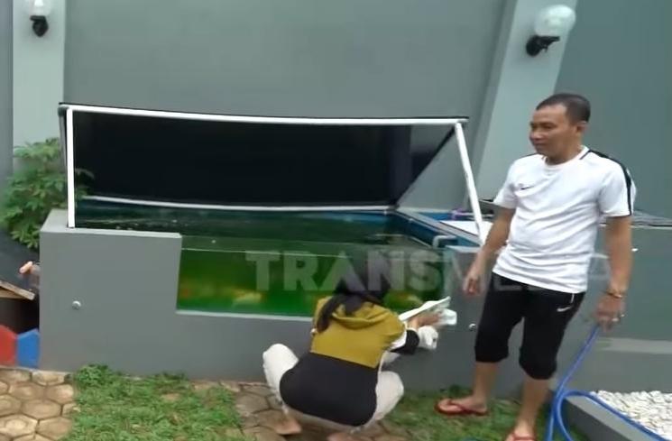 Potret Ayah Ojak Mandikan Kambing Kesayangan Ayu Ting Ting (YouTube/TRANS7 OFFICIAL)