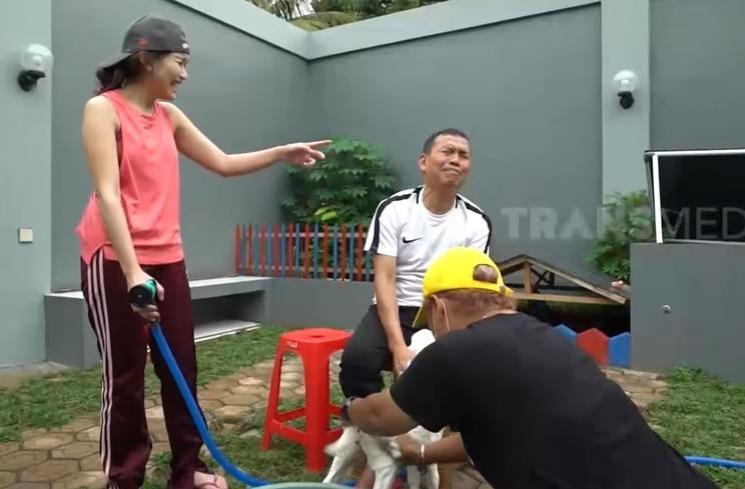 Potret Ayah Ojak Mandikan Kambing Kesayangan Ayu Ting Ting (YouTube/TRANS7 OFFICIAL)