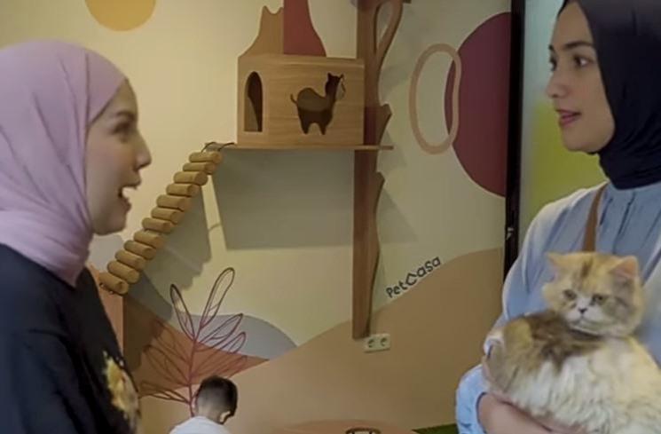 Hotel Kucing Tya Ariestya. (YouTube/Ciky Citra Rezky)
