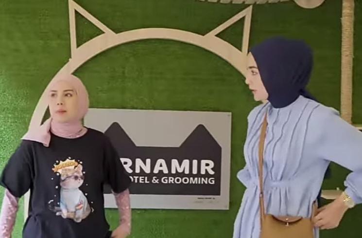 Hotel Kucing Tya Ariestya. (YouTube/Ciky Citra Rezky)