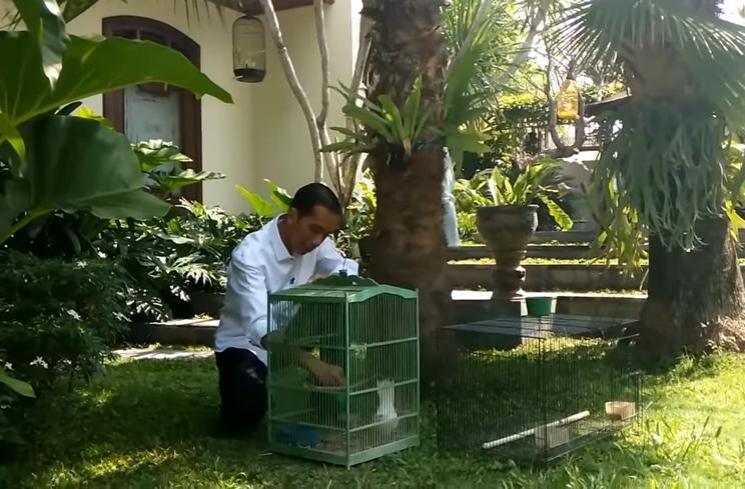 Rumah Jokowi di Solo (YouTube Presiden Joko Widodo)