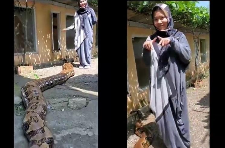 Persahabatan Chalwa Gadis Berhijab dengan Ular Raksasa (Instagram/@chalwa17)
