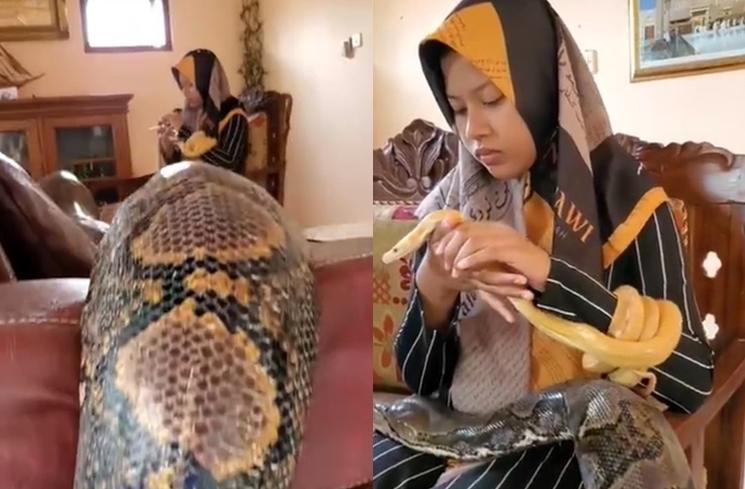 Persahabatan Chalwa Gadis Berhijab dengan Ular Raksasa (Instagram/@chalwa17)