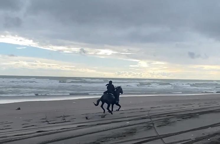 Potret Zaskia Sungkar Berkuda di Pantai (instagram/@zaskiasungkar15)