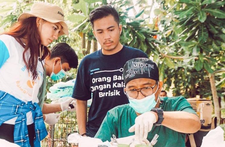 Potret Cassandra Lee Jadi Relawan Peduli Hewan (Instagram/cassandraslee) 