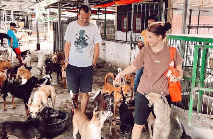 Potret Cassandra Lee Jadi Relawan Peduli Hewan (Instagram/cassandraslee) 