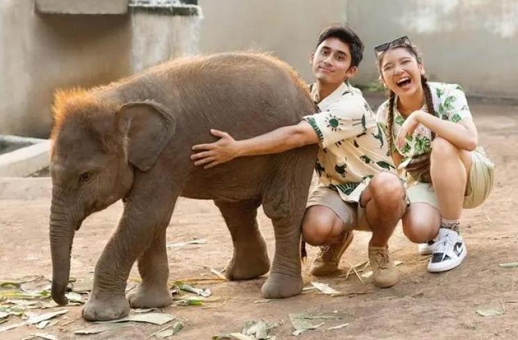 Gaya Pacaran Tiara Andini dan Alshad Ahmad. (Instagram/alshadahmad)