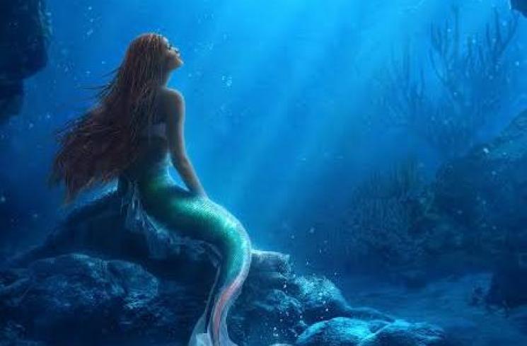 Sinopsis Film The Little Mermaid. (IMDb)