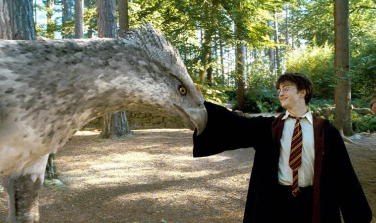Fakta Harry Potter Akan Dijadikan Series. (IMDb)