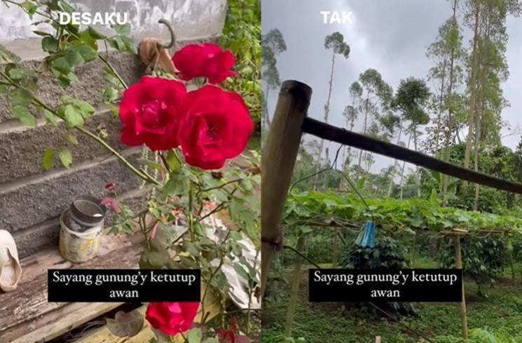 Suasana rumah Sus Rini di kampung halaman. (Instagram/@riniperdiyanti)