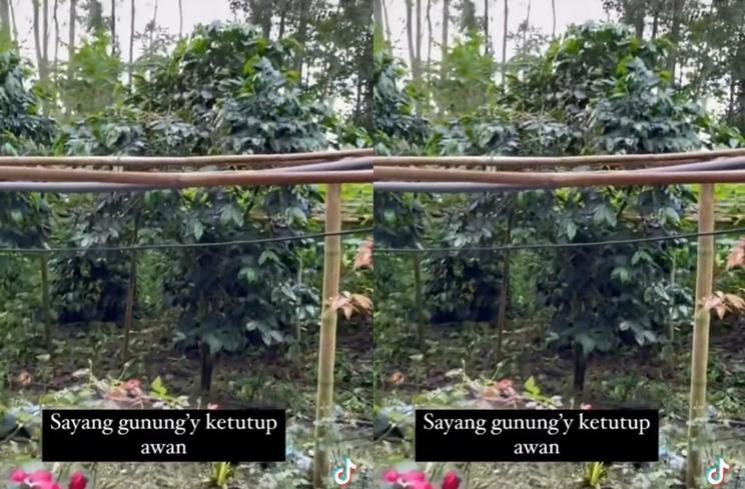 Potret Rumah Sus Rini di Kampung Halaman (tiktok/@rayanza626)